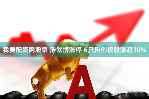 我要配资网股票 浩欧博涨停 6只科创板股涨超10%