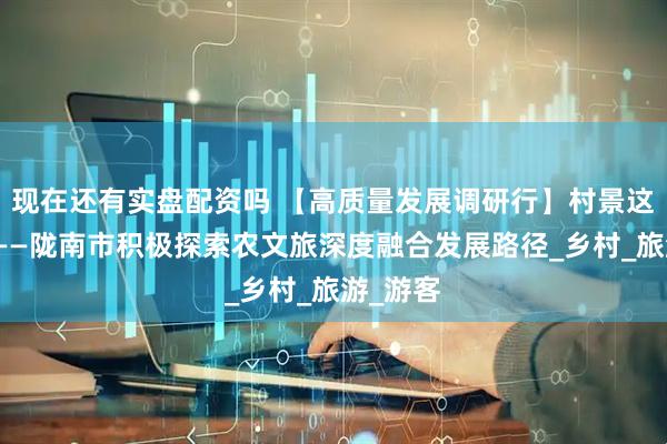 现在还有实盘配资吗 【高质量发展调研行】村景这边独好——陇南市积极探索农文旅深度融合发展路径_乡村_旅游_游客