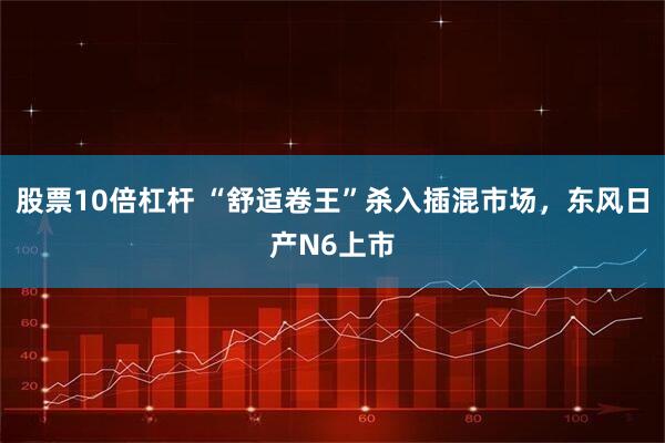 股票10倍杠杆 “舒适卷王”杀入插混市场，东风日产N6上市